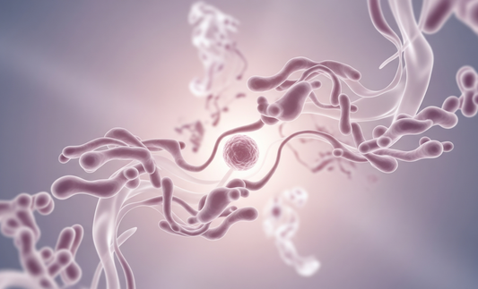 O czym mówi Infekcja? Karolina Knaut opowiada